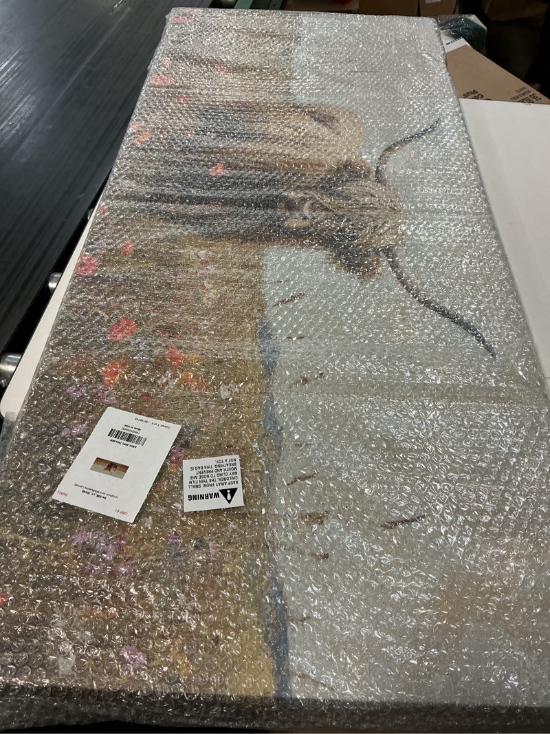Condition photo showing New/Like New for stupell industries longhorn and wildflowers canvas wall art design by petal prints design, 20 x 48 orange wrapped canvas 20"l x 48"w