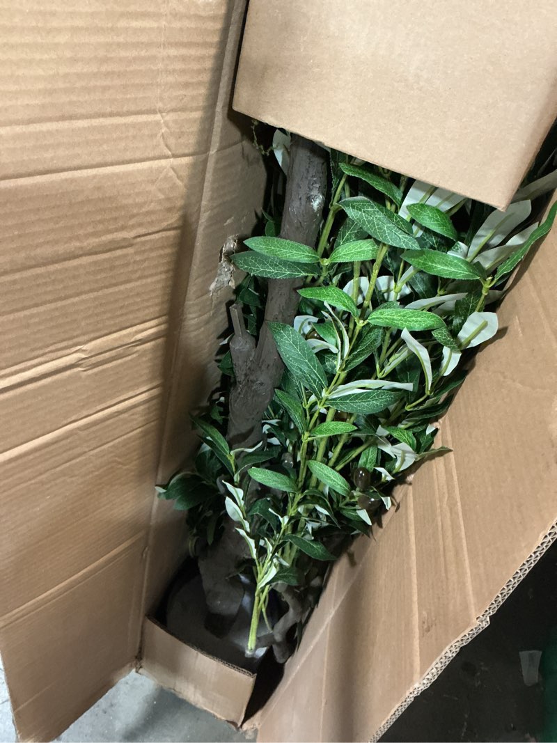 Condition photo showing New/Like New for 7ft olive tree artificial plant decor - tall fake tree for home decor faux plant indoor 2000 leaves artificial olive tree for living room bedroom office live streams decorative modern greenery black olive 7ft