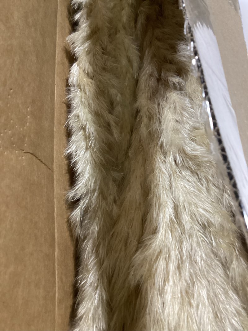 Condition photo showing Good Condition for 40" Tall Pampas Grass – 16 Stems Natural Pompas Grass for Wedding, Party, Farmhouse, and Boho Home Decor