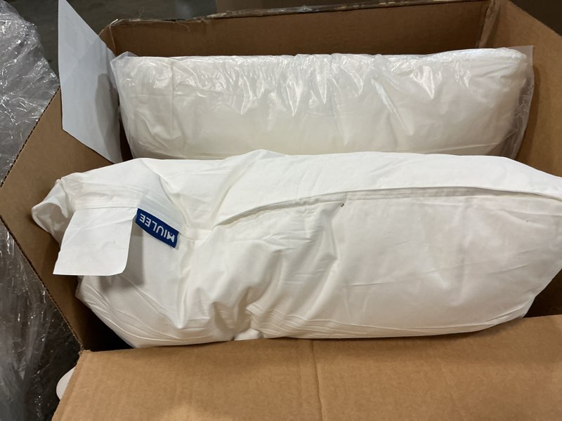 Condition photo showing Good Condition for MIULEE 20x20 Throw Pillow Inserts,Set of 2 Decorative Pillow Inserts with Soft Cotton Cover,Fluffy and Cozy Indoor Square Sofa Couch Pillow Inserts White 20x20 Inch (Pack of 2)