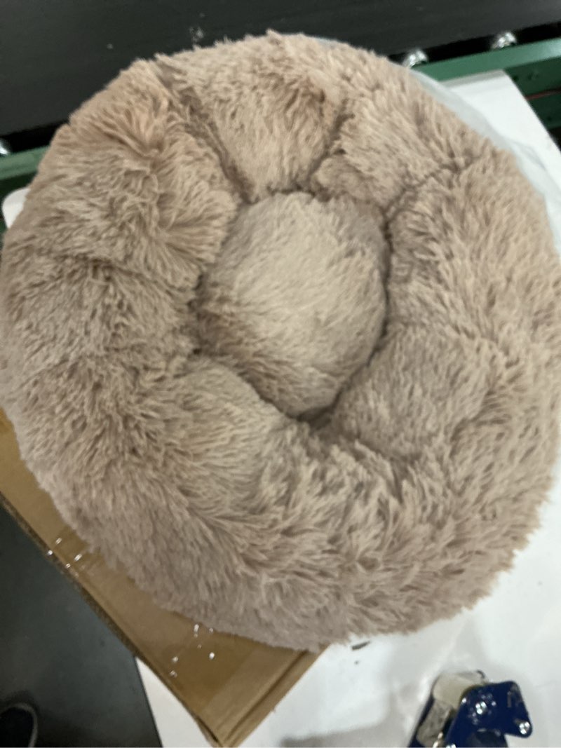 Condition photo showing Good Condition for bedsure calming dog bed for small dogs - donut washable small puppy bed, 23 inches anti-slip round fluffy plush faux fur large cat bed, fits up to 25 lbs pets, camel 23"l x 23"w x 8"th camel