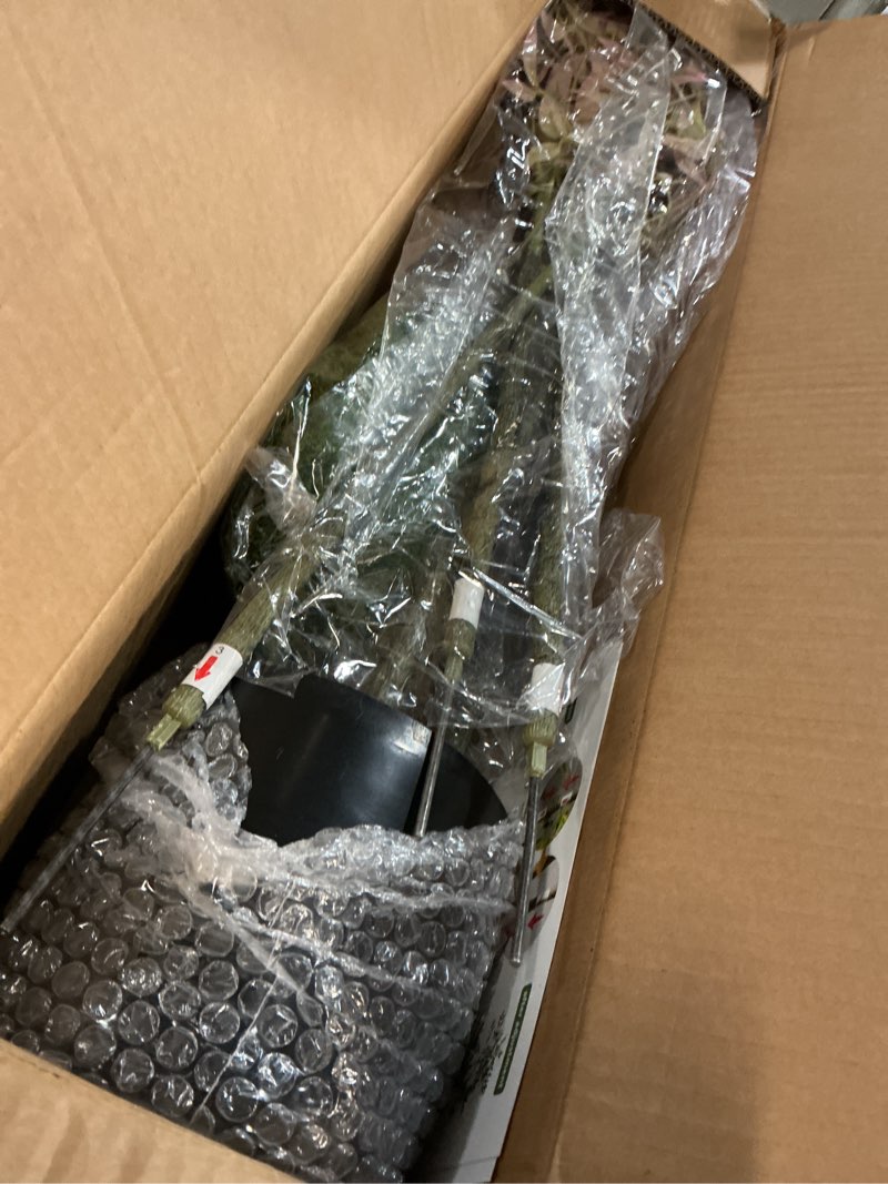 Condition photo showing Good Condition for (Similar)4.6ft Faux Bamboo Tree Artificial Nandina Tree Artificial Indoor Plants Realistic Fake Potted Tree with 800+ Leaves, Cement Planter - Home Office Decor Perfect for Housewarming Gift No Planter 4ft 7in Red