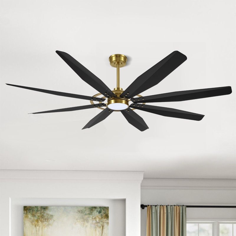 Fianna 72'' Ceiling Fan with LED Lights