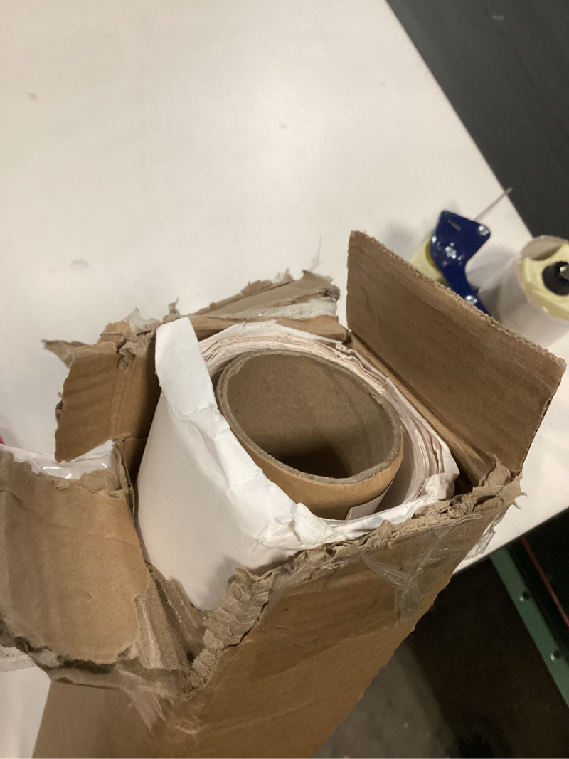 Condition photo showing As Is for Yizhily Seamless Photography Photo Backdrop Background Paper for Photoshoot, Arctic White, 53''x16.5' 53"x16' Arctic White