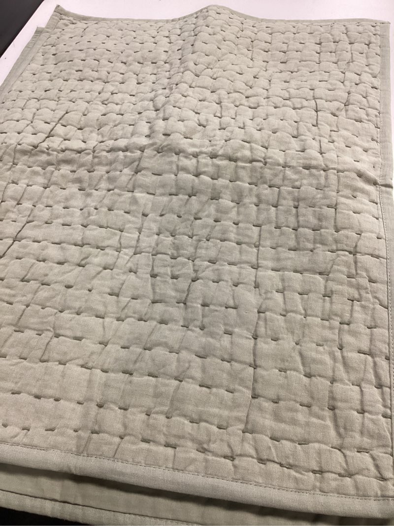 Condition photo showing Good Condition for european linen dream sham set green 20”x26”