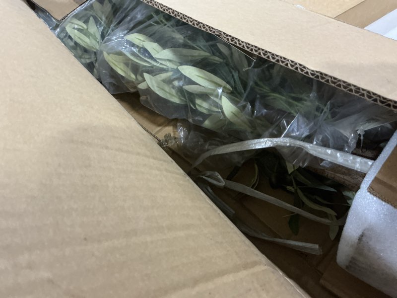 Condition photo showing Good Condition for Artificial Olive Tree 5FT Tall Faux Silk Plant 60inch Fake Olive Tree with Trunk and Lifelike Fruits for Home Office Decor Indoor 1pack 1pack 5ft