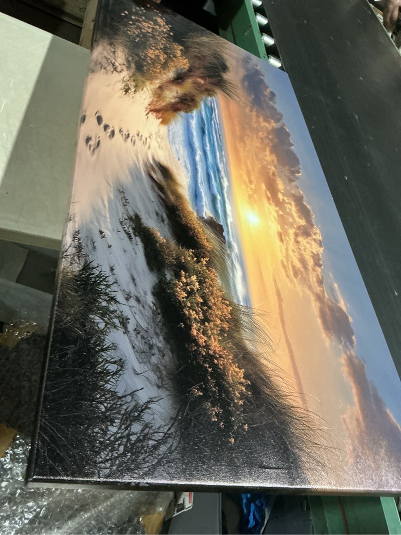 Condition photo showing As Is for coastal sunset wall art ocean beach pictures wall decor nature landscape canvas paintings modern artwork home decorations for living room bedroom bathroom