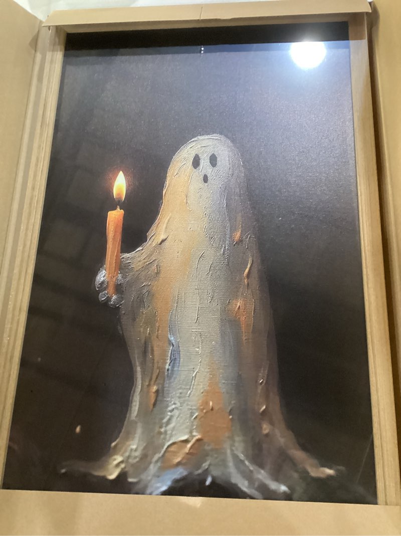 framed ghost picture