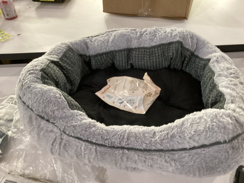 dog bed
