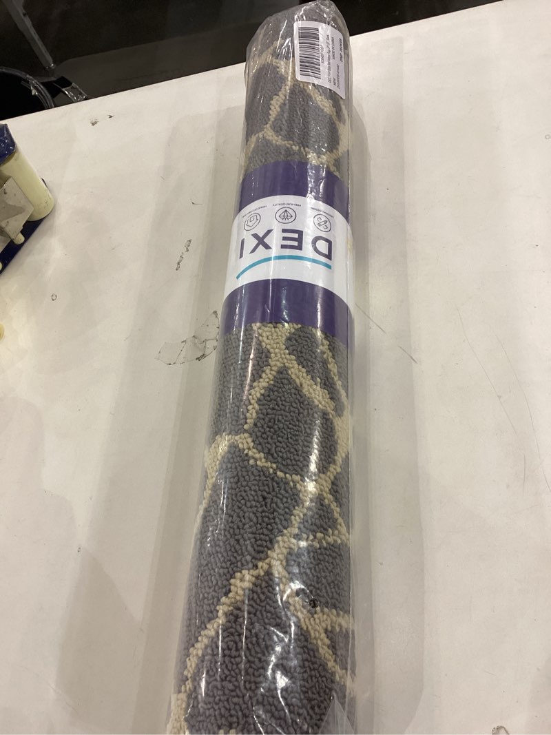 DEXI Front Door Mat for Entryway, Dirt Trapper Non Slip Absorbent Entry Rugs, Low Profile Washable A