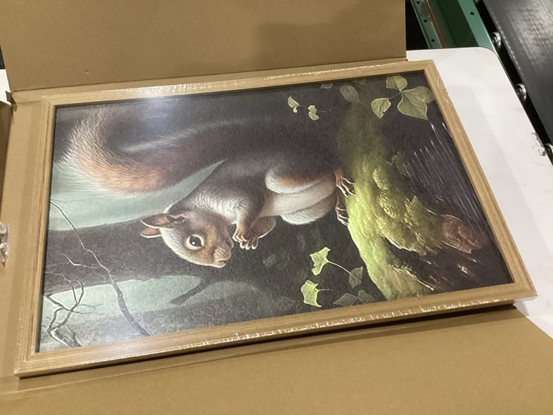 Condition photo showing New/Like New for SAMHOU Framed Vintage 3D Textured Wall Art, Hand Drawn Sandstone Squirrel Prints Pictures, Dark Nature Animal Wall Decor for Living Room Bedroom Bathroom Nursery 16x24 inch Light Gray Squirrel Framed 24"L x 16"W