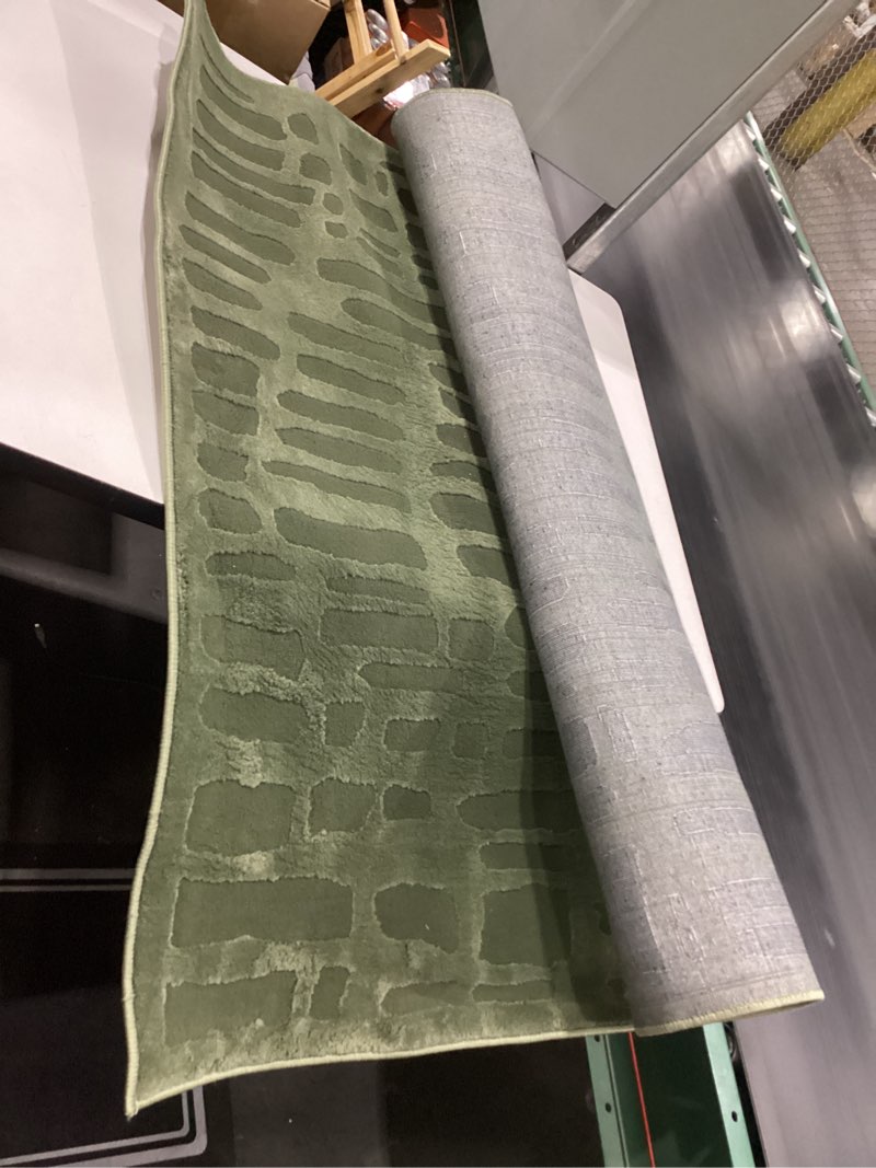 Condition photo showing Good Condition for Shell 3'11"x6'1" Machine Washable Area Rug for Kitchen Bedroom - 100% Recycled Oeko-TEX Certified, Medium Pile, Green