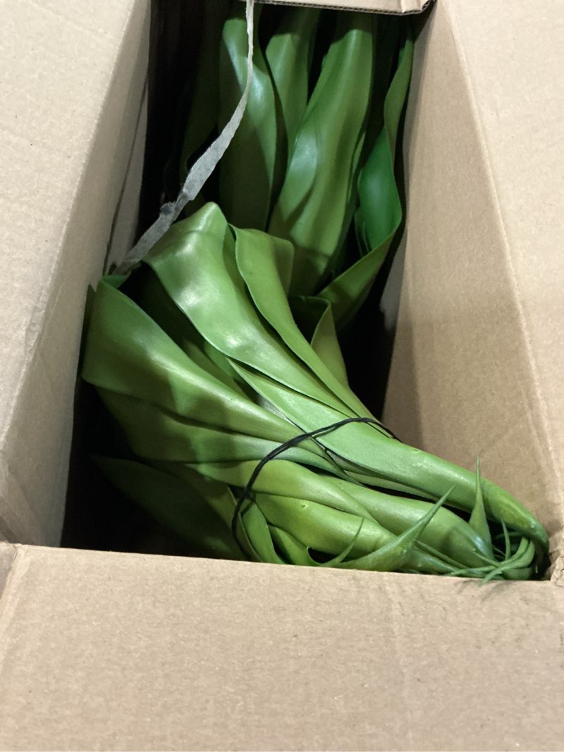 Condition photo showing Good Condition for velener outdoor fake agave artificial plant, unpotted fake plant for room decor, uv resistant faux agave plant for outdoor/indoor decor, 22 inches, 2 pack(43 leaves) green