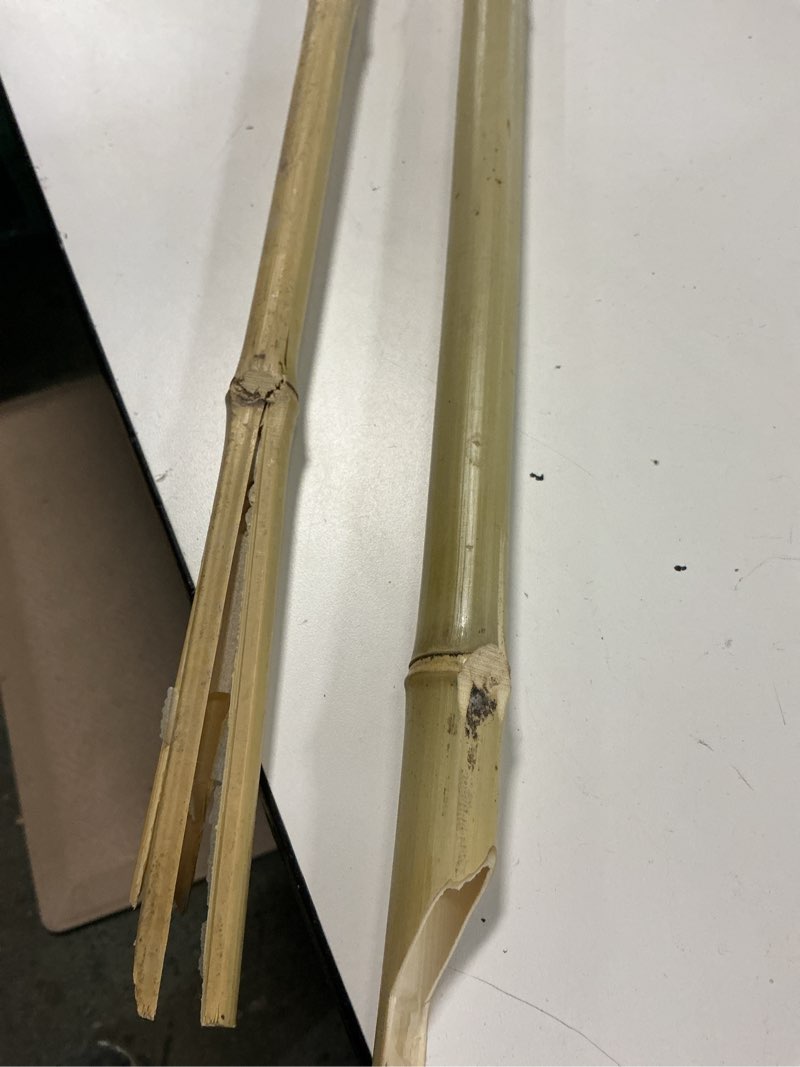 Condition photo showing As Is for torch tiki luau bmbo 57\"24(pack of 2)