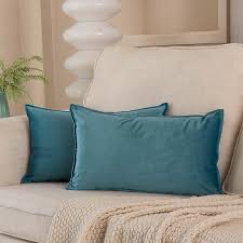 JUSPURBET 14x24 Pillow Covers Set of 2 Decorative Throw Pillow Covers Case for Couch Sofa Bed Soft Velvet Lumbar Cushion Covers with Hidden Zipper for Home Decor Living Room,Seafoam Seafoam 24" x 14" (Pack of 2)