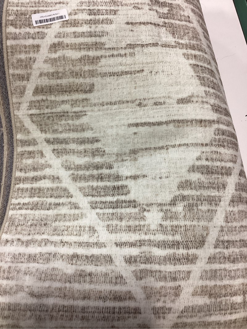 Condition photo showing As Is for home rug