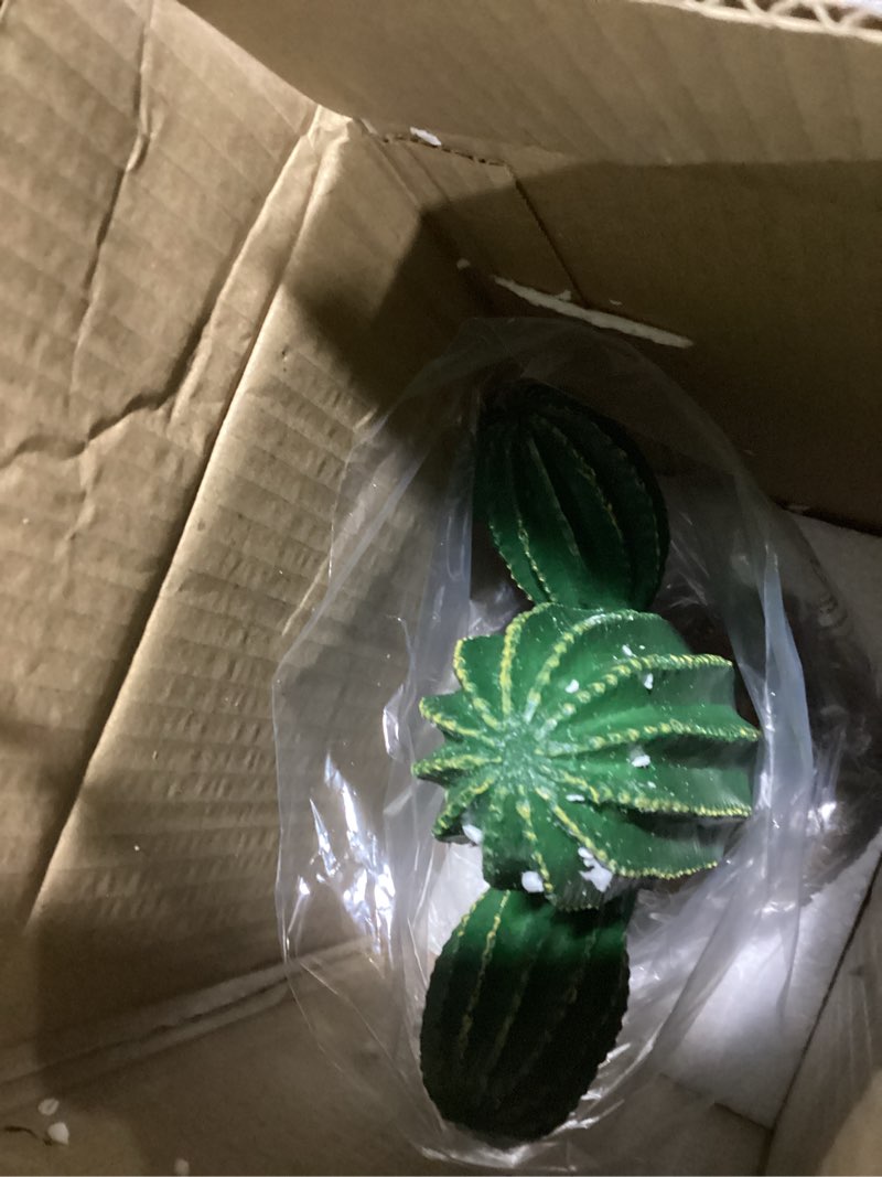 Condition photo showing New/Like New for Multi Pet 48593324: Komodo Cactus Plant Saguaro, 9.5In