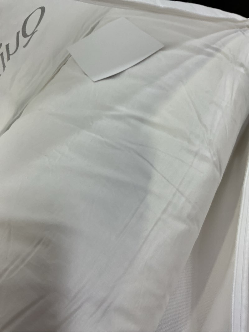 Condition photo showing Good Condition for premium down pillow, king, firm