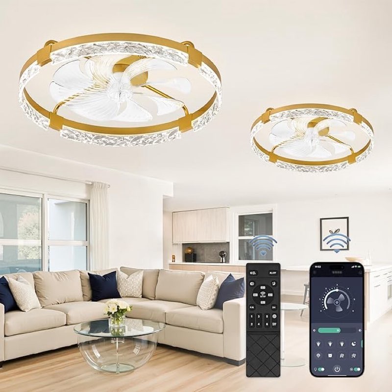 LEDIARY 2 Pack 24 Inch Modern Ceiling Fans with Lights and Remote, Dimmable Flush Mount Ceiling Fan,