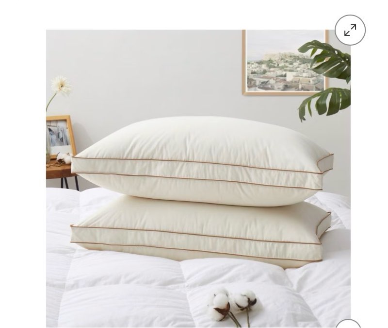 Shop all Peace Nest Puredown 100% Organic Cotton Down Feather Gusseted Bed Pillows Set of 2, Pillow-in-a-pillow design, Gusset, Standard