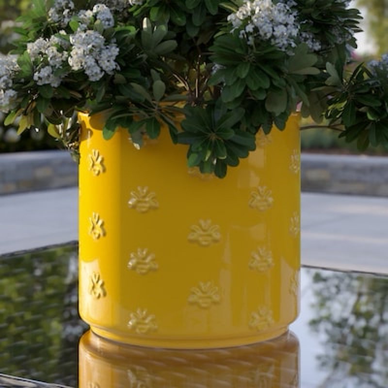 Condition photo showing Good Condition for allen + roth round 6.102-in w x 6.102-in l x 5.591-in h yellow glazed ceramic indoor planter