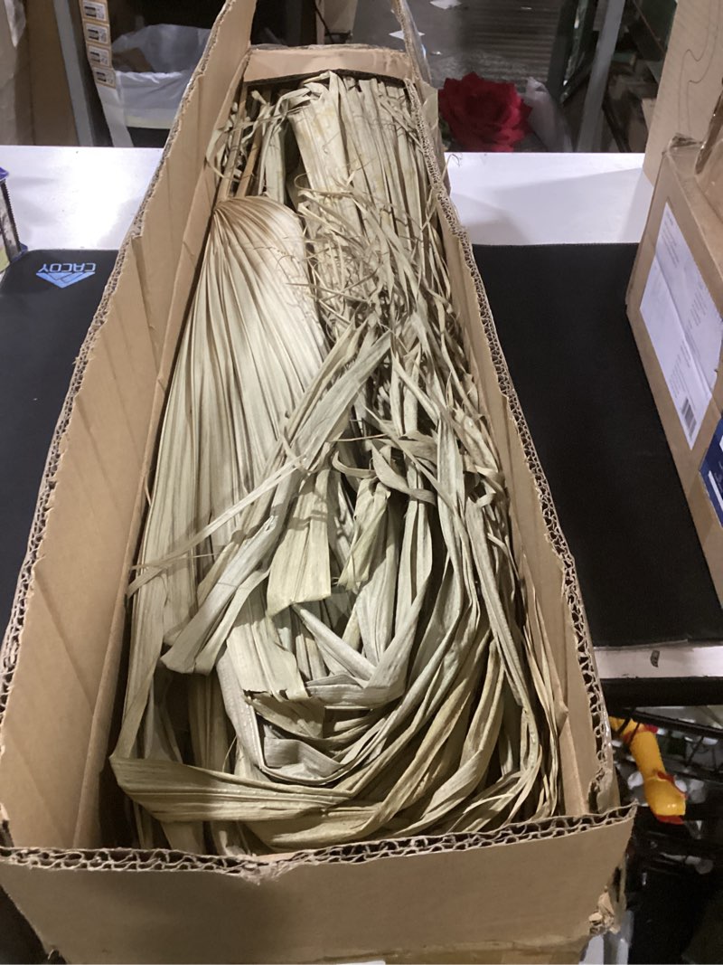 Condition photo showing As Is for layhit 6 pcs 4.3ft jumbo natural dried palm leaves tall boho home decor tropical dried palm leaves rustic wedding centerpieces for home wedding farmhouse party anniversary boho decor