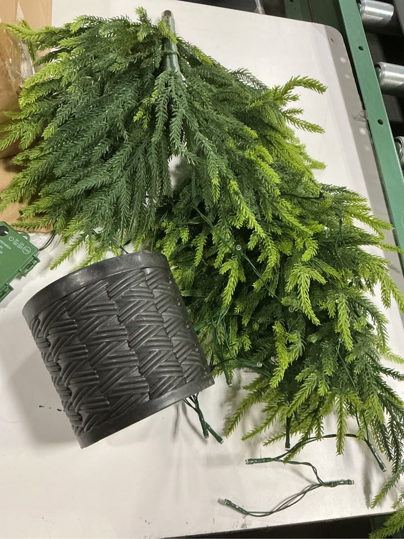 Condition photo showing Good Condition for 3Ft Artificial Norfolk Pine Tree Potted with 80 Tips, Realistic Full Lush Vibrant Green Indoor or Outdoor Christmas Decoration for Porch, Xmas Winter Decor