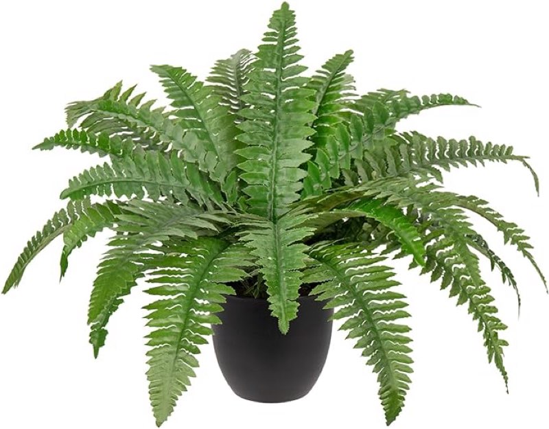 set of 2 Artificial Fern Plants in Pot , Artificial Boston Fern for Outdoors & Indoor Faux Potted Plant Fake Ferns Bush Plant for Patio Garden Farmhouse Porch Home Decor Green