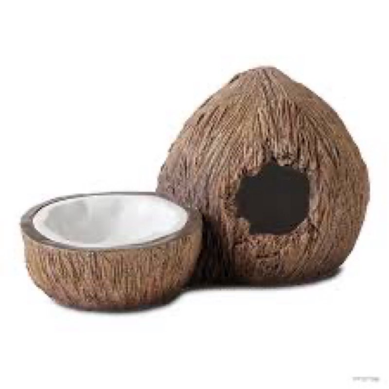 Coconut Hide  
