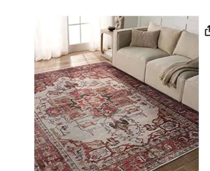 Jaipur Living Soft 3x8 Runner Rug, Boho, Rust/Beige