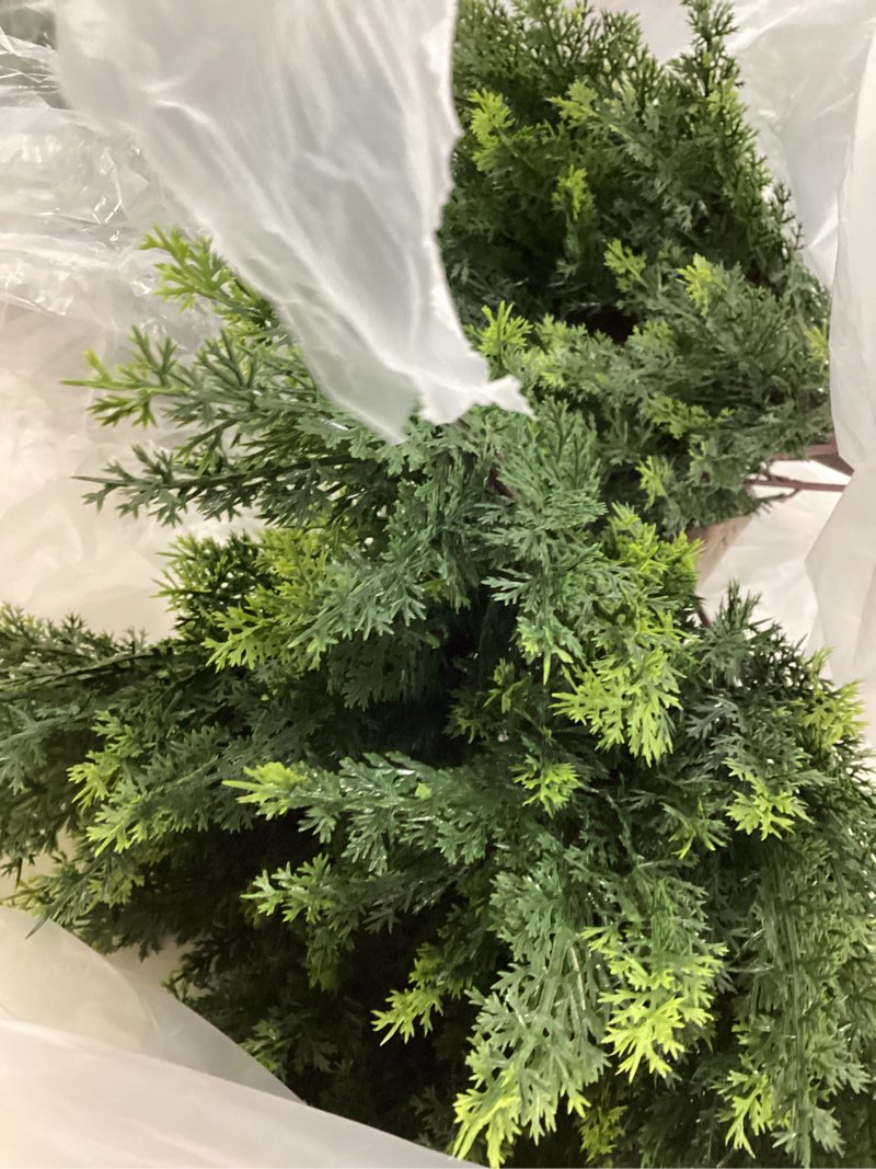 Condition photo showing As Is for 2.3FT Artificial Cedar Topiary Tree Outdoor UV Resistant,Realistic Fake Pine Shrubs Bushes, Faux Cypress Plants for Front Porch Door Offices Home Indoor Decor