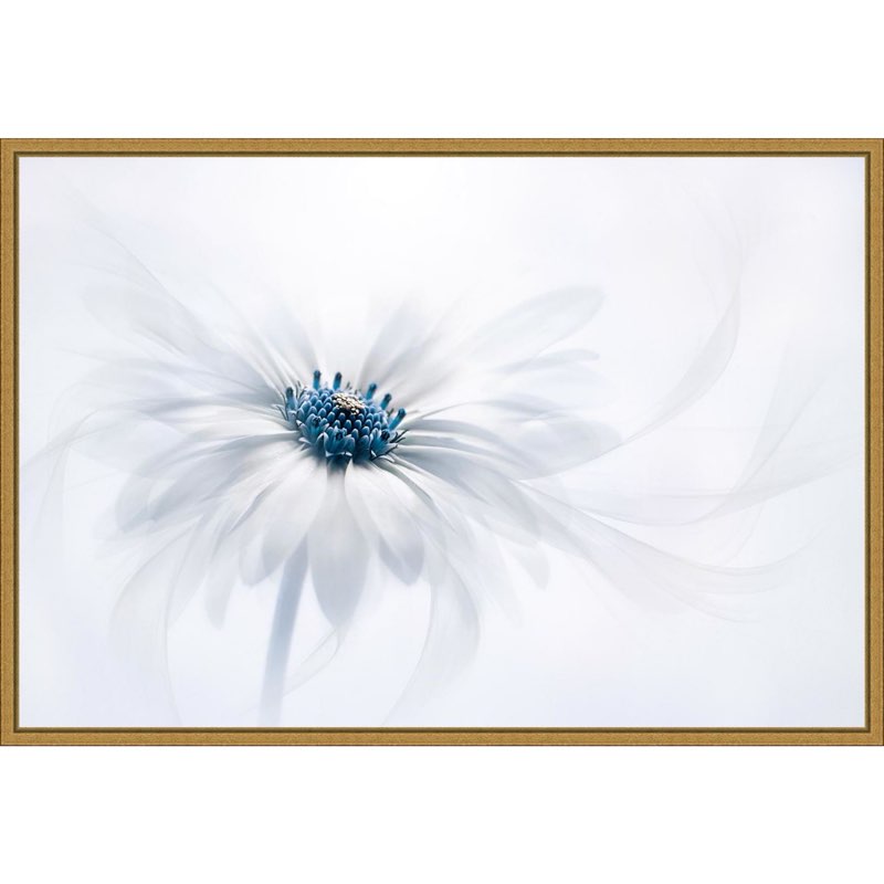 Amanti Art Serene White Flower Framed Canvas Wall Art