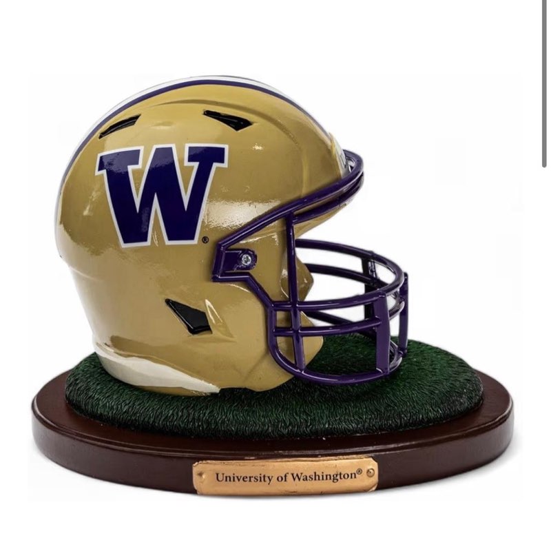 The Memory Company | Licensed NCAA Resin Helmet,University of Washington
