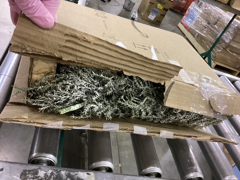 Condition photo showing As Is for Sosation 6 Pcs Norfolk Pine Tabletop Christmas Tree 6 Size Mini Christmas Tree Small Xmas Trees with Wooden Bases with Spray Snow Separate for Desk or Table Decor- Easy Setup Holiday Decorations