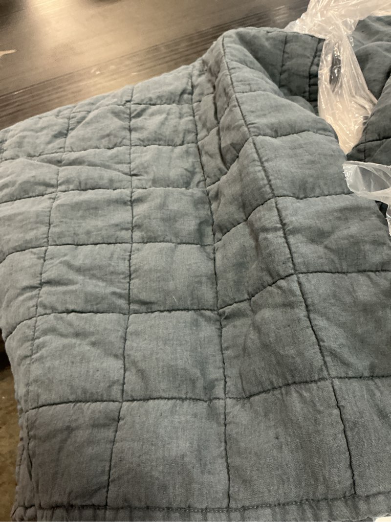 Condition photo showing As Is for pottery barn cloud linen cotton quilted king size sham chambray new with tags