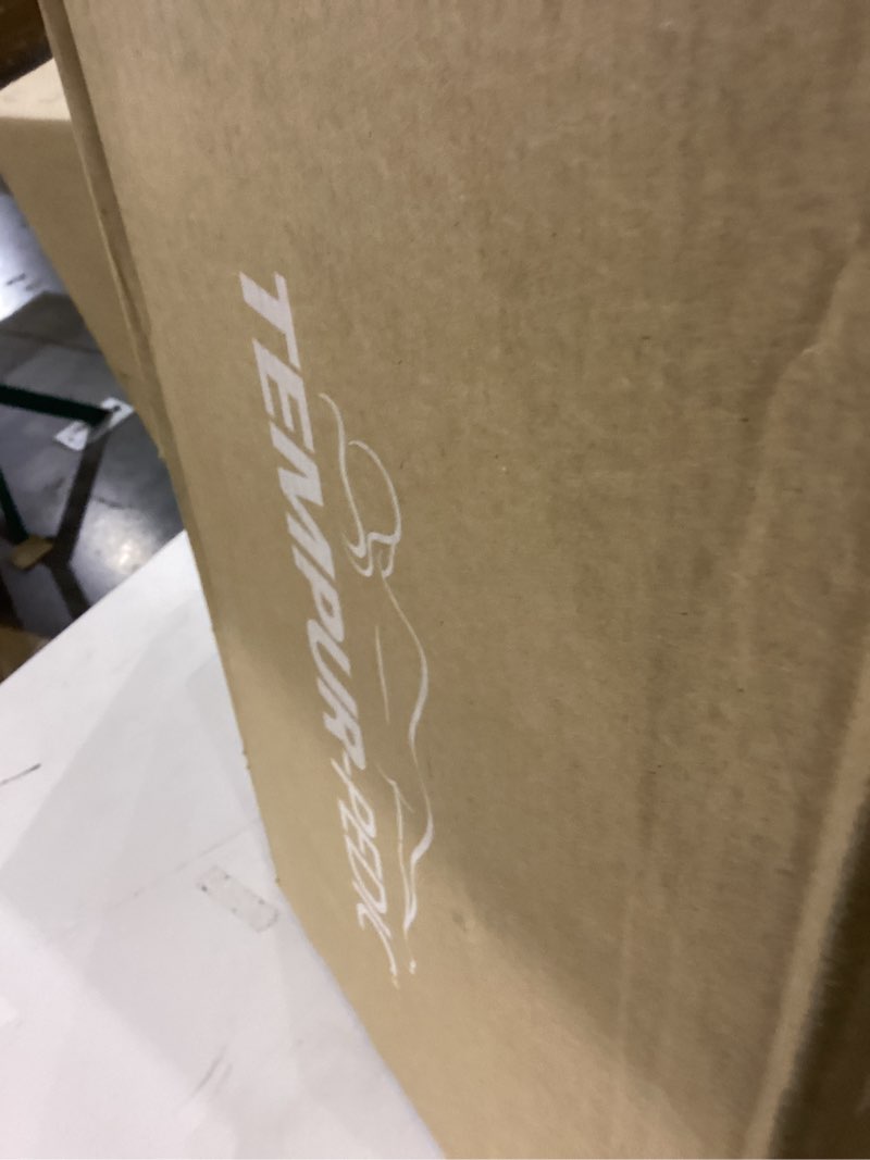 Condition photo showing As Is for Tempurpedic pillow