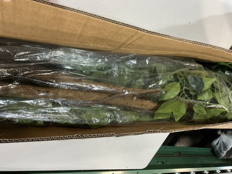 Condition photo showing Good Condition for haihong artificial ficus tree 5ft faux silk plants with sturdy plastic nursery pot,fake ficus trees for home office farmhouse indoor outdoor decor perfect housewarming gift (5ft-1pack) 5ft-1pack ficus tree