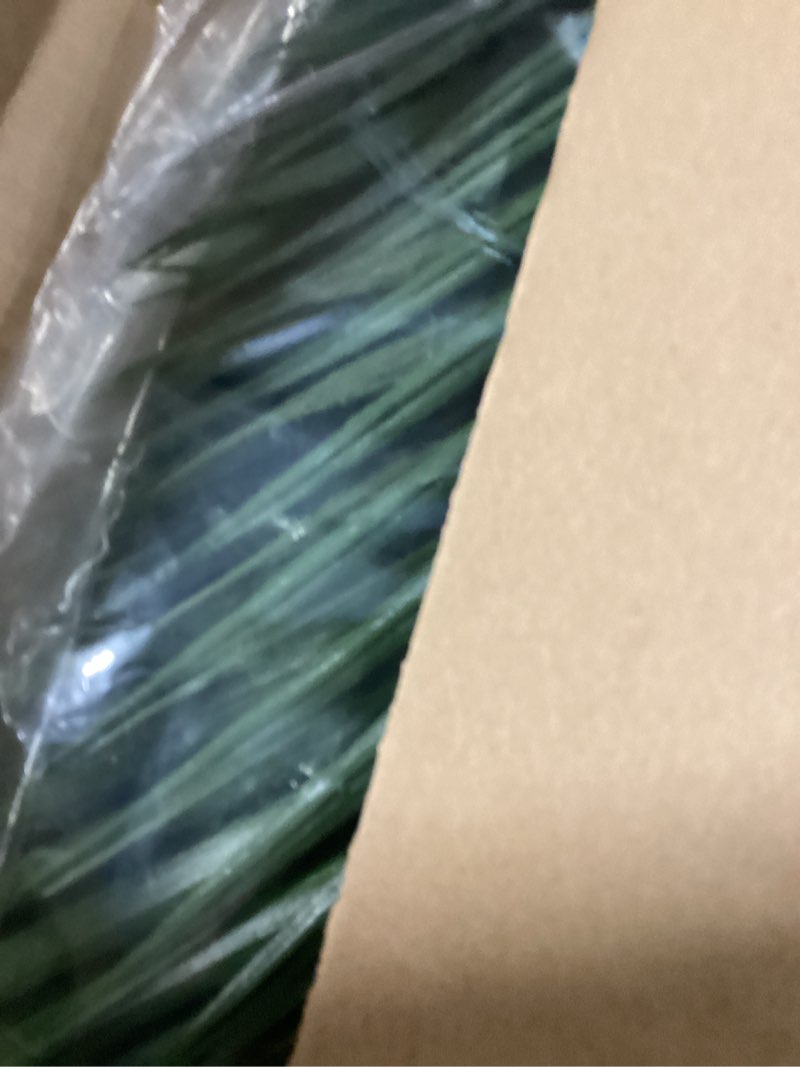 Condition photo showing Good Condition for 63” Areca Palm Artificial Tree in Decorative Planter (Indoor/Outdoor)