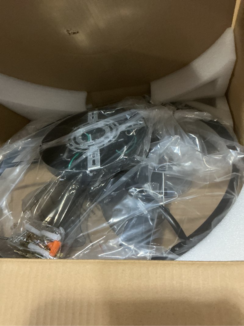 Condition photo showing Good Condition for Ceiling Fans with Lights and Remote, 20" Modern Low Profile Ceiling Fan, 6-Speed Quiet Reversible Motor, Flush Mount LED Fan Light,Stepless Dimmable for Bedroom & Kids Room (Black)