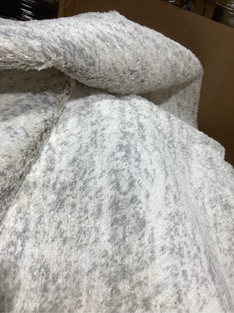 Condition photo showing item condition for presler indoor rug