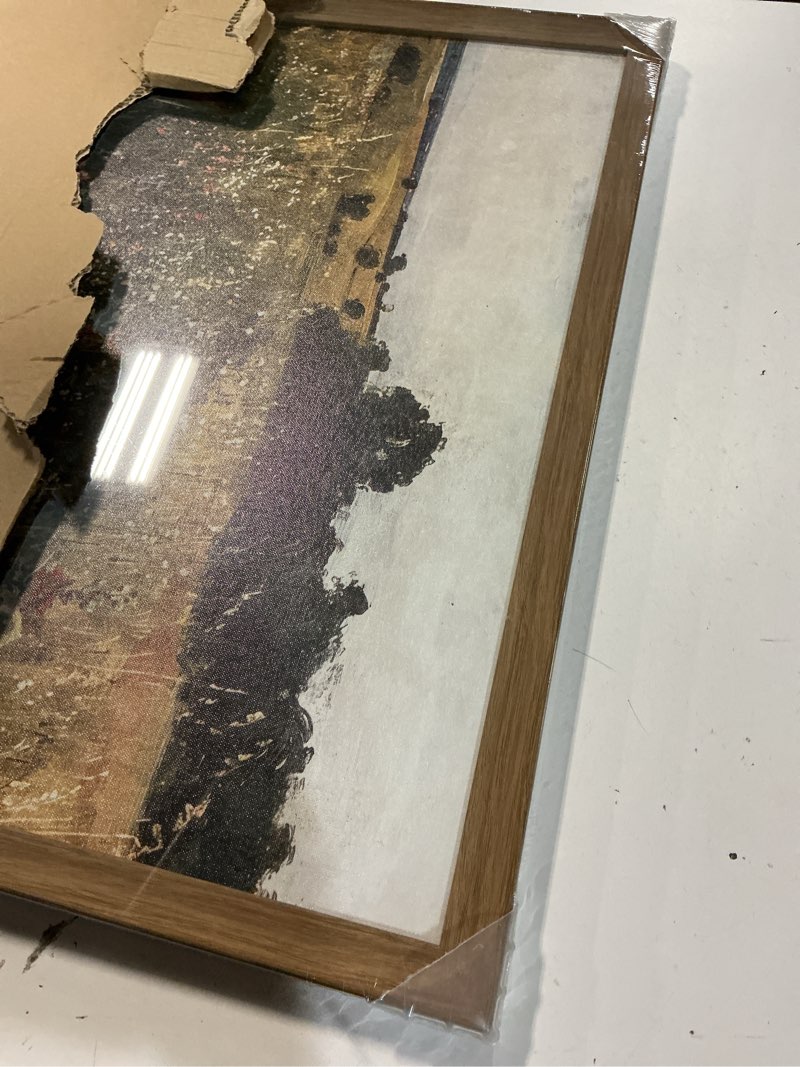 Condition photo showing Good Condition for xmmpot wildflower canvas wall art: framed wall art for living room- vintage nature botanical bathroom wall decor prints 16"x24" 24"l x 16"w lush flower landscape