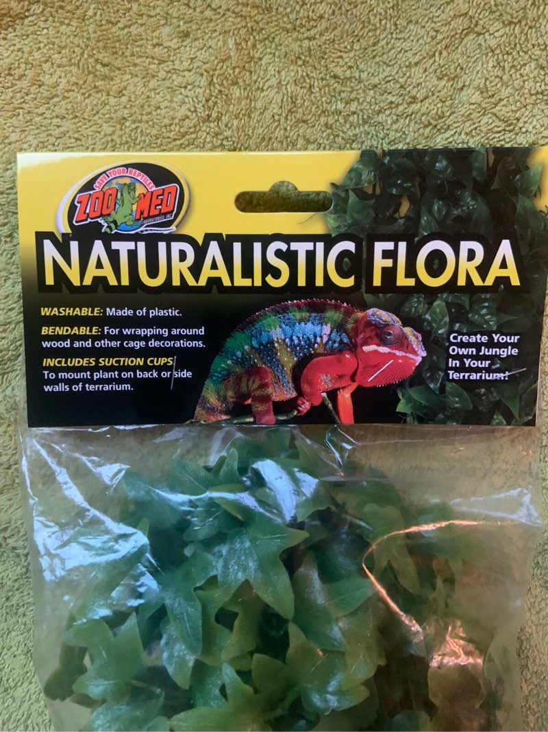 Zoo Med Laboratories Szmbu22 Natural Bushy Congo Ivy Medium