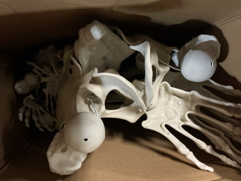 Condition photo showing Good Condition for posable human adult (5' 4") & child (3') skeleton value 2 pack - life size, articulated limbs & bones model stay in place, weather resistant indoor/outdoor decoration- anatomical science & biology