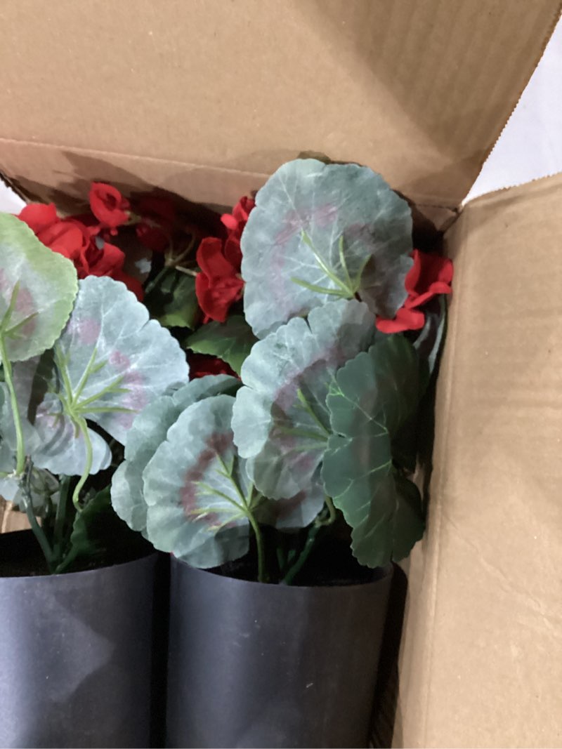 Condition photo showing Good Condition for turnmeon 2 pack artificial geraniums fake flowers for outdoors summer decoration, silk geraniums red flowers uv resistant faux flower potted plants for gardens farmhouse indoor home table decor (red)
