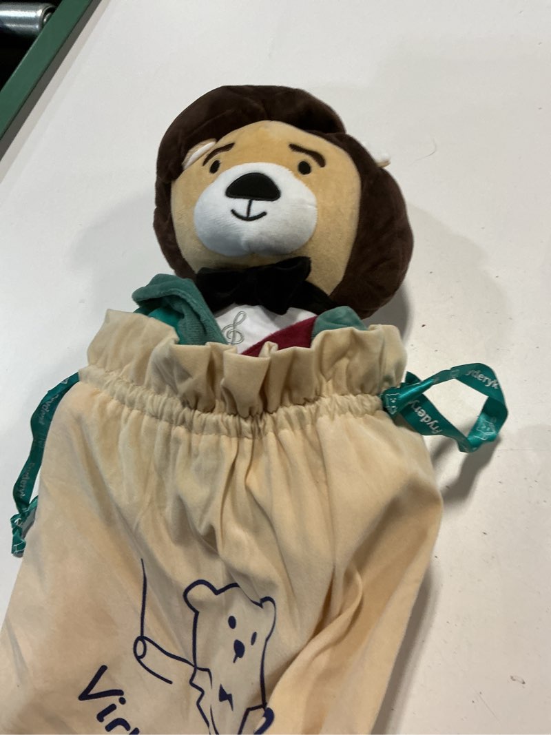 Condition photo showing Good Condition for chopin plush bear – plays 40 mins of classical music, educational & soothing interactive teddy bear for babies & toddlers, ideal