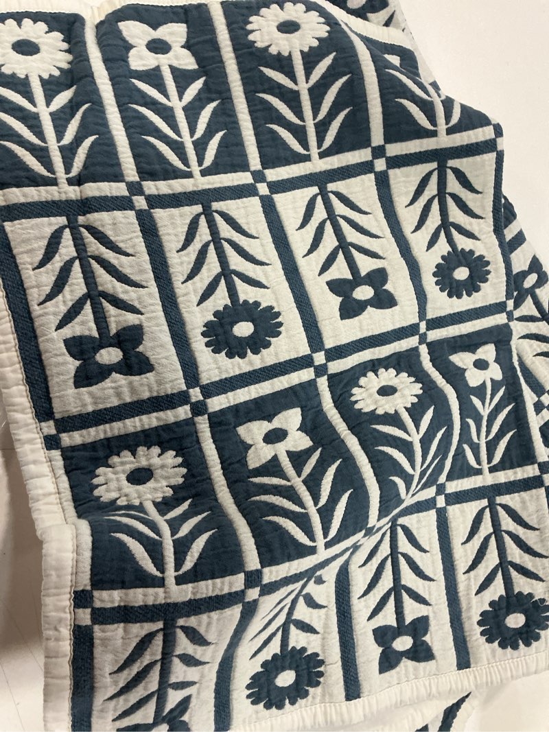 Condition photo showing Good Condition for organic cotton jacquard floral sham set, glacier blue, standard