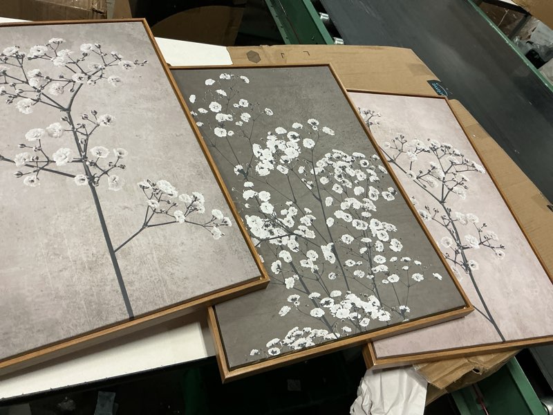 Condition photo showing Good Condition for fwiexa neutral floral wall art of 3, framed beige botanical canvas prints, minimalist wildflower wall decor, large modern plant painting, 24x36 inches artwork for living room, bedroom, office, home floral 24\"l x 16\"w