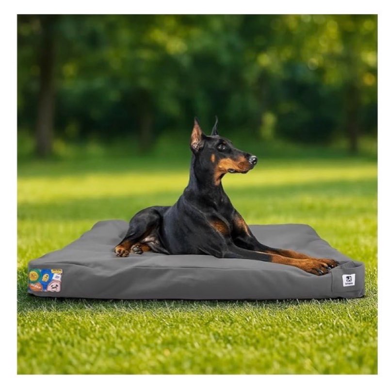 Sytopia 42-Inch Canvas Indestructible Outdoor Dog Bed, Waterproof & Washable Removable Cover, Ideal 