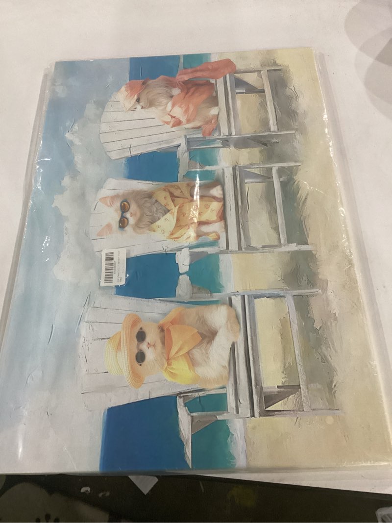 Condition photo showing Good Condition for ooeiiiy beach cat canvas wall art beach themed wall decor casual themed picture poster wall decor funny cat prints painting framed artwork for bathroom toilet office livingroom bedroom 12''x16'' beach cat 16"l x 12"w