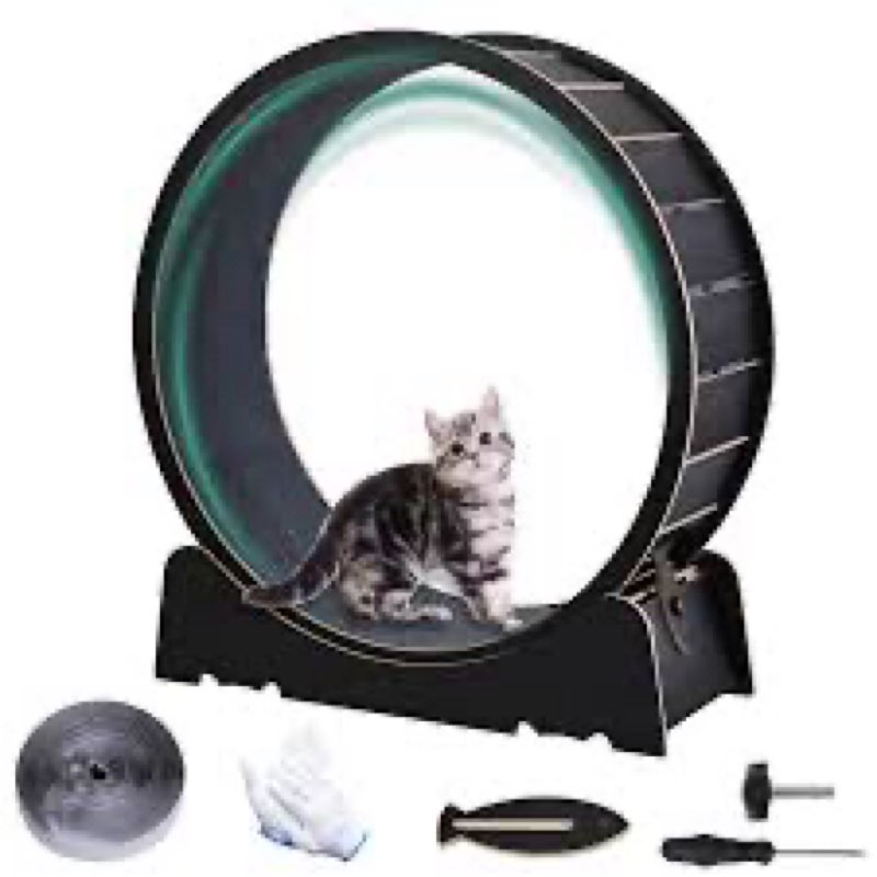 Large Cat Exercise Wheel 40 Inch Treadmill Exerciser for Indoor Cats Love Kitty Running Toy Walking 